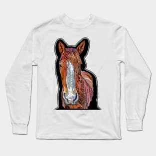 horse Long Sleeve T-Shirt